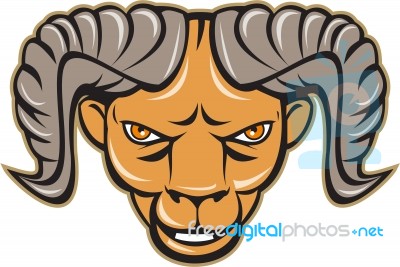 Ram Head Isolated Cartoon Stock Image