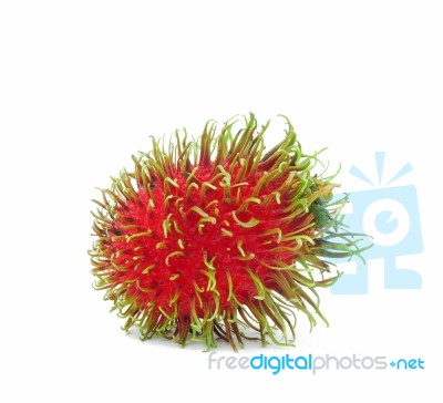 Rambutan Stock Photo