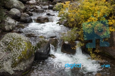 Rapids In Yellowstone Stock Photo