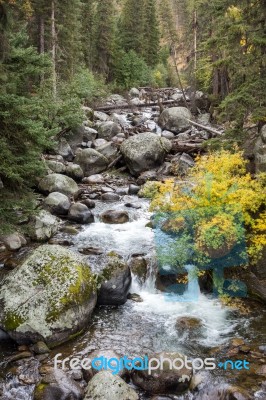 Rapids In Yellowstone Stock Photo