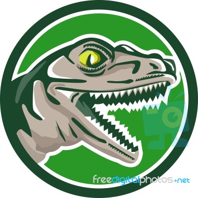 Raptor Head Side Circle Retro Stock Image