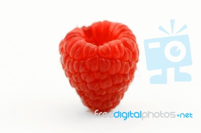 Raspberry Stock Photo