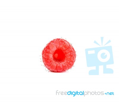 Raspberry Isolated On The White Background Stock Photo