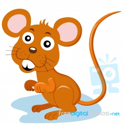 Rat Cartoon Stock Image