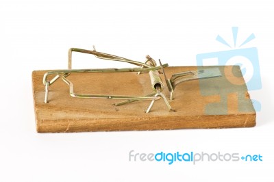 Rat Trap Stock Photo