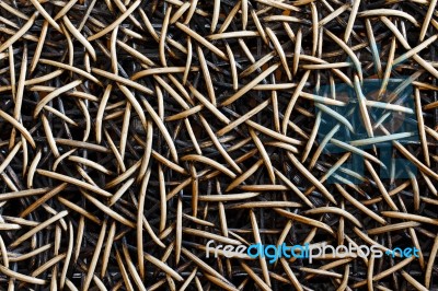 Rattan Chair Background Texture Stock Photo