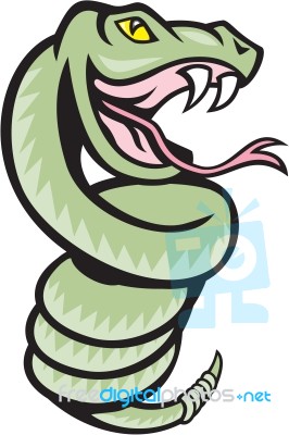 Rattle Snake Coiling Up Cartoon Stock Image