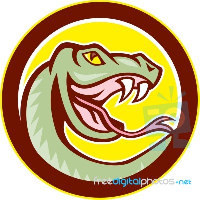 Rattle Snake Head Circle Cartoon Stock Image