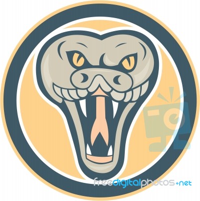 Rattle Snake Head Front Retro Stock Image