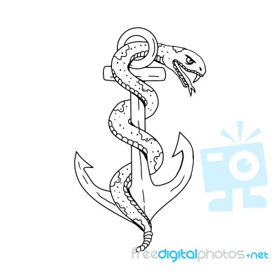 Rattlesnake Coiling On Anchor Drawing Stock Image