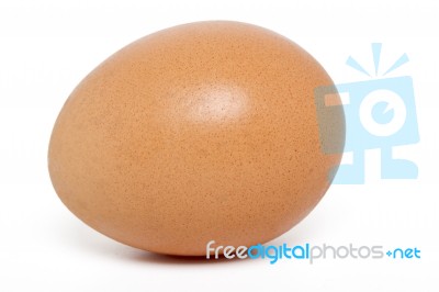 Raw Chicken Egg Stock Photo