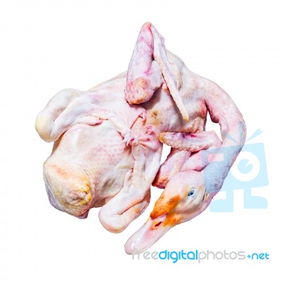 Raw Duck Isolated On White Background With Clipping Path Stock Photo