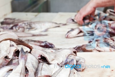 Raw Fish At Fish Shop Stock Photo