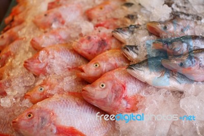 Raw Fish On Ice Stock Photo