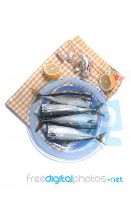 Raw Mackerel Fish Stock Photo