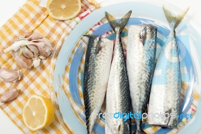 Raw Mackerel Fish Stock Photo