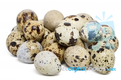 Raw Quail Eggs Stock Photo