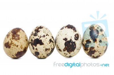 Raw Quail Eggs Stock Photo