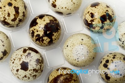 Raw Quail Eggs Stock Photo