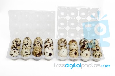 Raw Quail Eggs Stock Photo