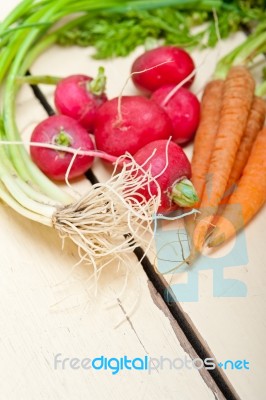 Raw Root Vegetable Stock Photo