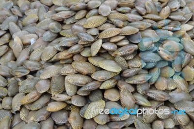 Raw Sea Food Stock Photo