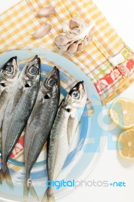 Raw Short Mackerel Fish Stock Photo