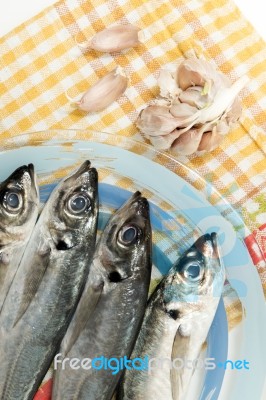 Raw Short Mackerel Fish Stock Photo