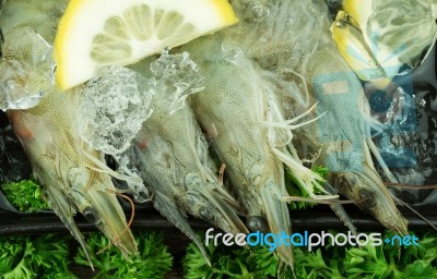 Raw Shrimp Stock Photo