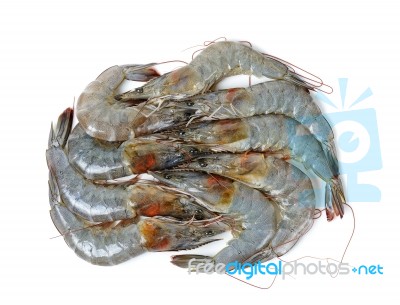 Raw Shrimp Isolated On The Whtie Background Stock Photo