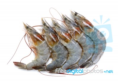 Raw Shrimp Isolated On The Whtie Background Stock Photo