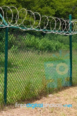 Razor Wire Stock Photo