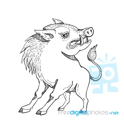 Razorback Doodle Art Black And White Stock Image