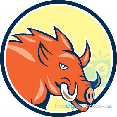 Razorback Head Charge Circle Cartoon Stock Image