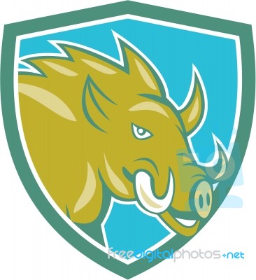 Razorback Head Charge Shield Cartoon Stock Image