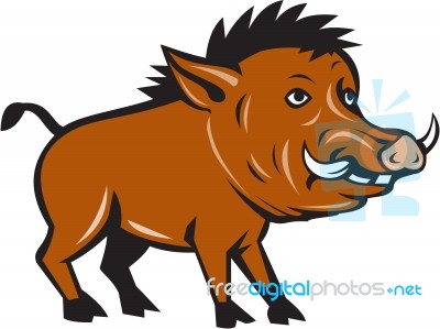 Razorback Side Cartoon Stock Image