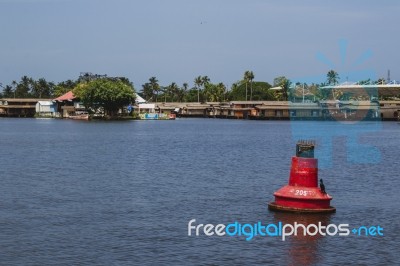 Read Float With Bird Floating On A River Stock Photo