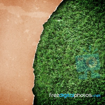 Recycled Paper On Grass Stock Photo