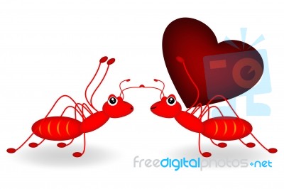 Red Ant And Red Heart Stock Image