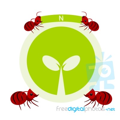 Red Ants And Nature Symbol Illustration Stock Image