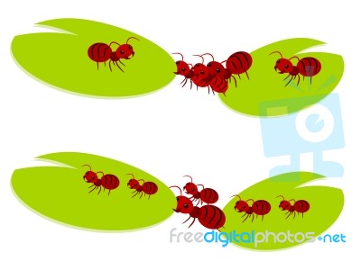 Red Ants Teamwork Illustration Stock Image