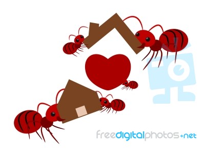 Red Ants Teamwork Illustration Stock Image