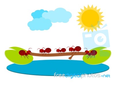 Red Ants Teamwork Illustration Stock Image