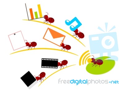 Red Ants Wireless Lan Teamwork Illustration Stock Image