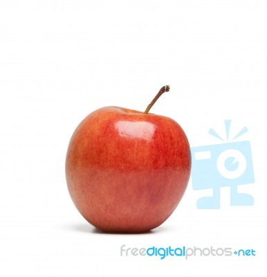 Red Apple Isolated  Stock Photo