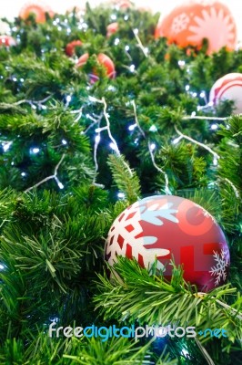 Red Ball And Light Bulb On Pine Tree Stock Photo