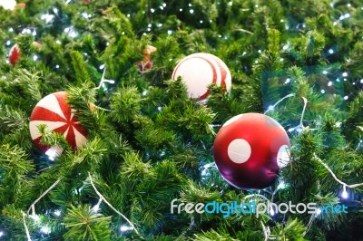 Red Ball And Light Bulb On Pine Tree Stock Photo