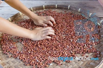 Red Beans Stock Photo