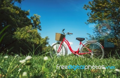 Red Bicycle Stock Photo