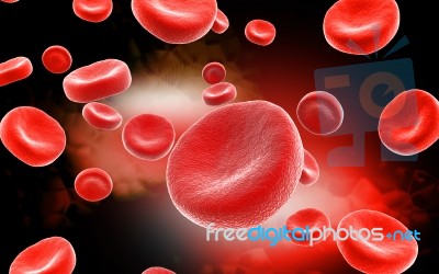 Red Blood Cell  Stock Image